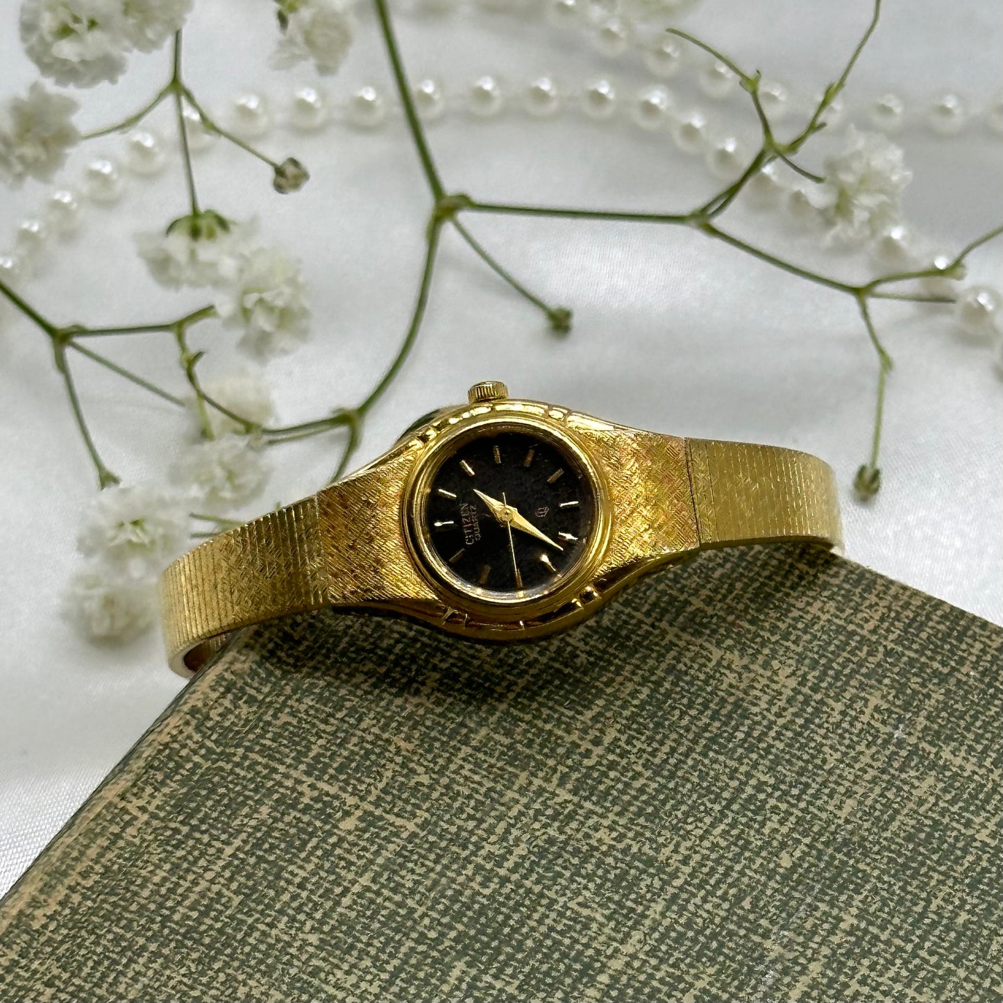 Black Dial Citizen Watch