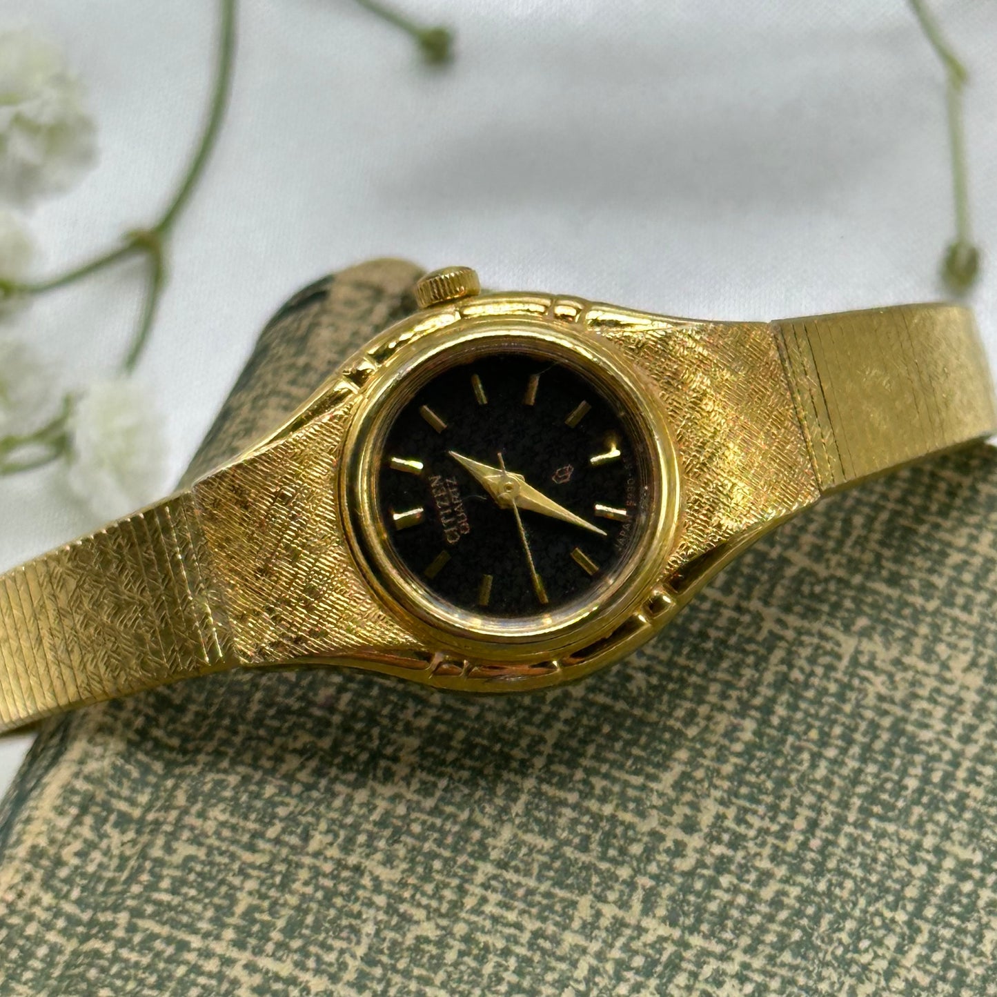 Black Dial Citizen Watch
