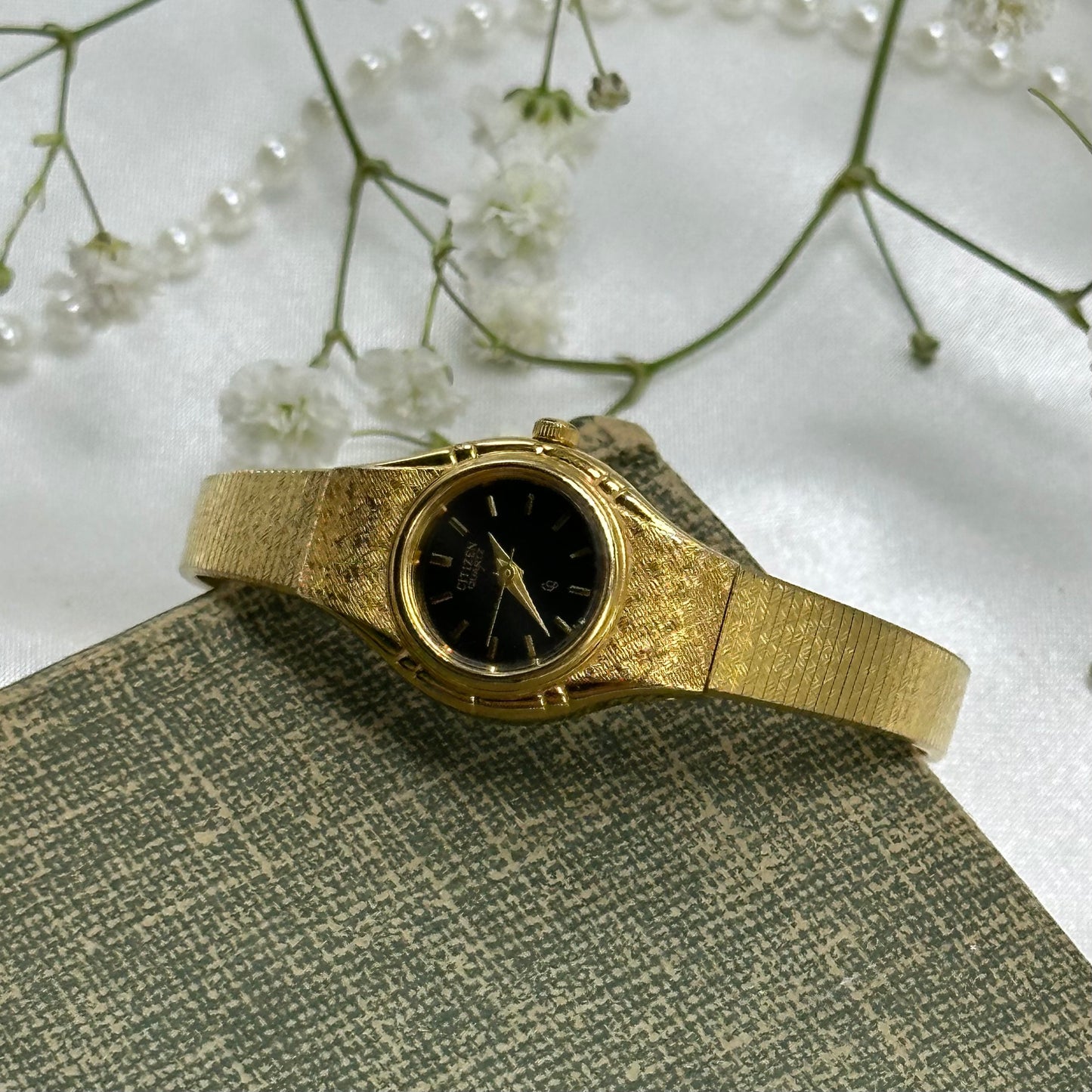Black Dial Citizen Watch