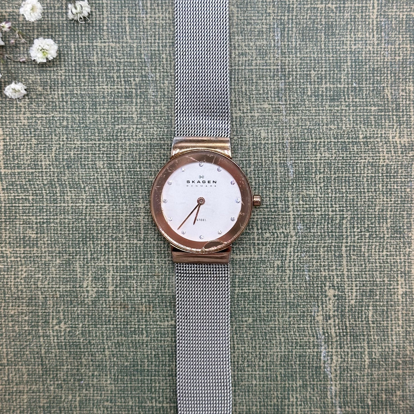 Two-Tone Skagen Denmark Watch