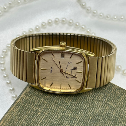 Rare Gold Timex with Pig Dial