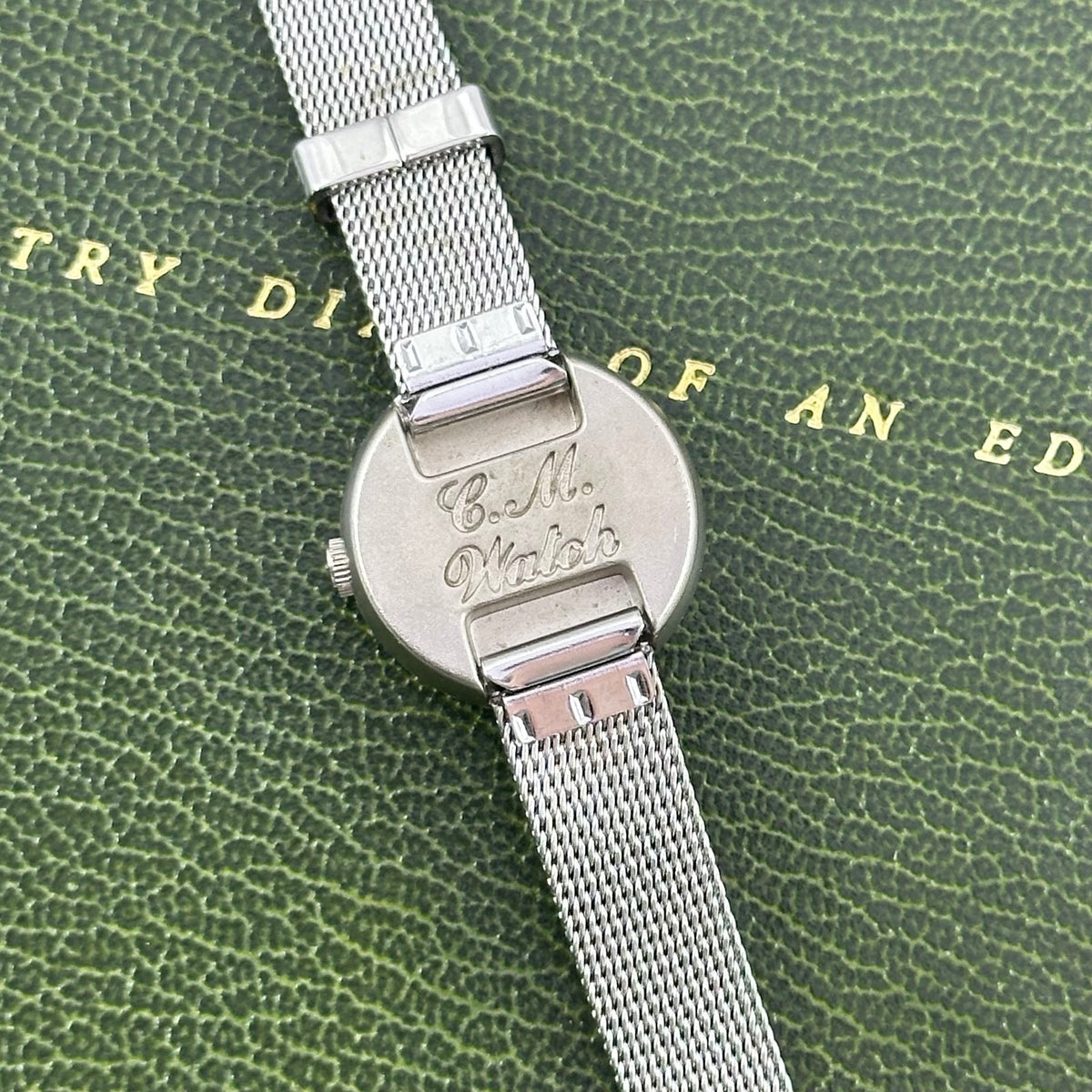 Dainty Silver Watch with Bubble Dial and Mesh Band