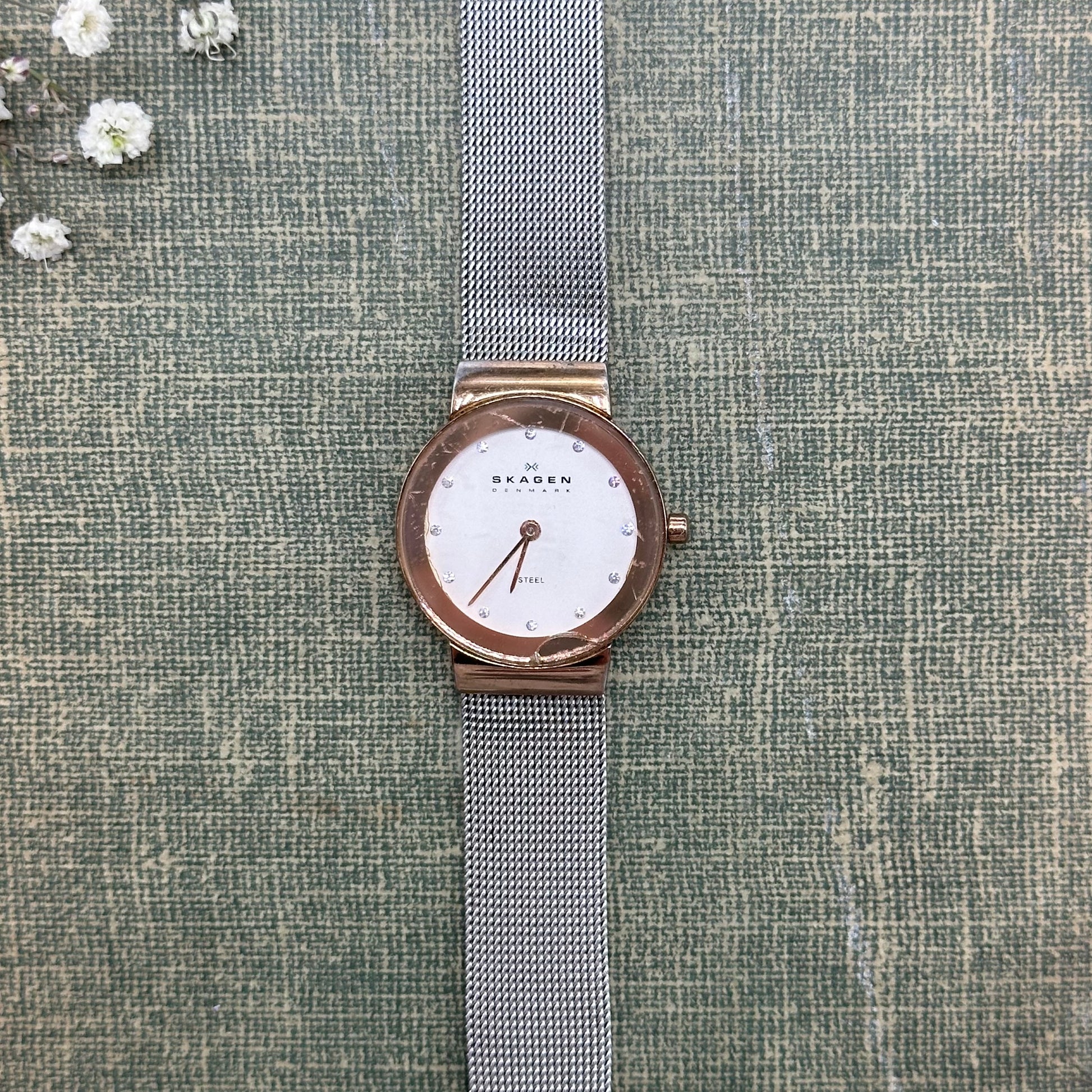 Two-Tone Skagen Denmark Watch