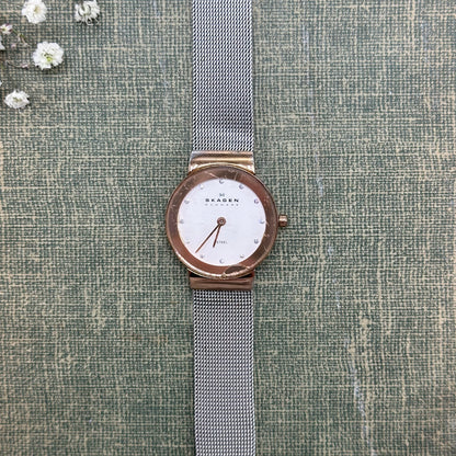 Two-Tone Skagen Denmark Watch